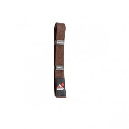 CEINTURE ARTS MARTIAUX